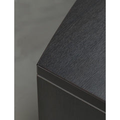 Santa Monica 2 Door Storage Cabinet | Laminate Doors without Top